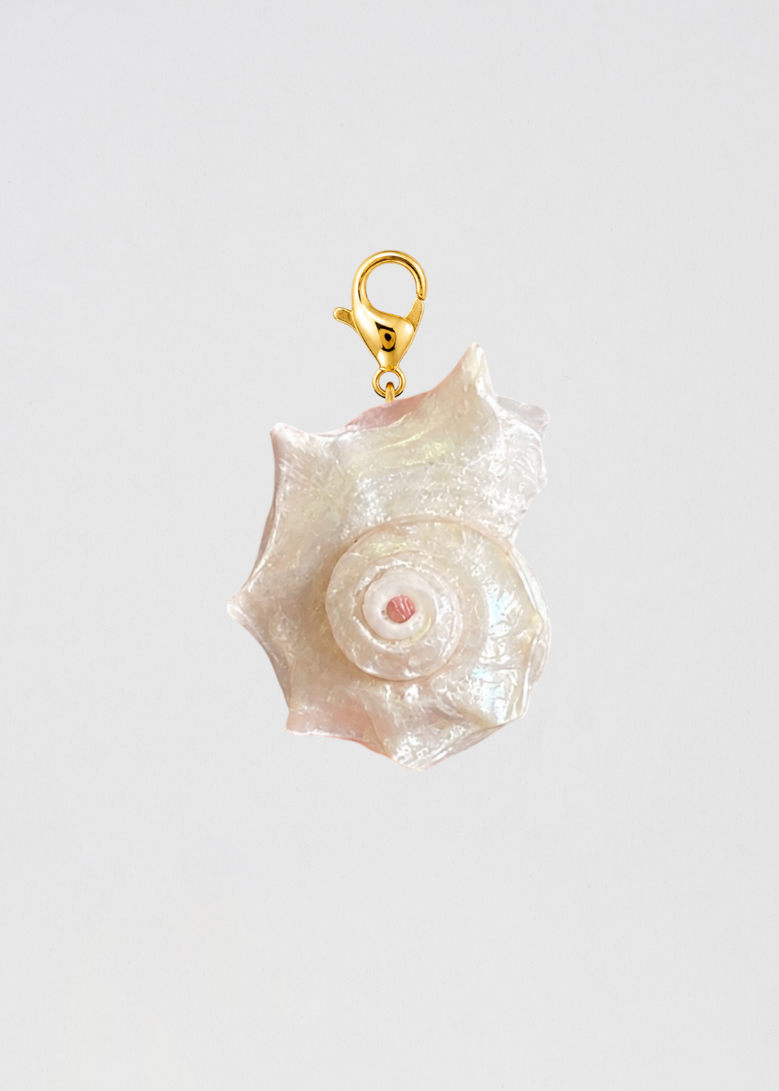 Charm Caracola Real La Caracola De Mis Sueños Que Da Luz