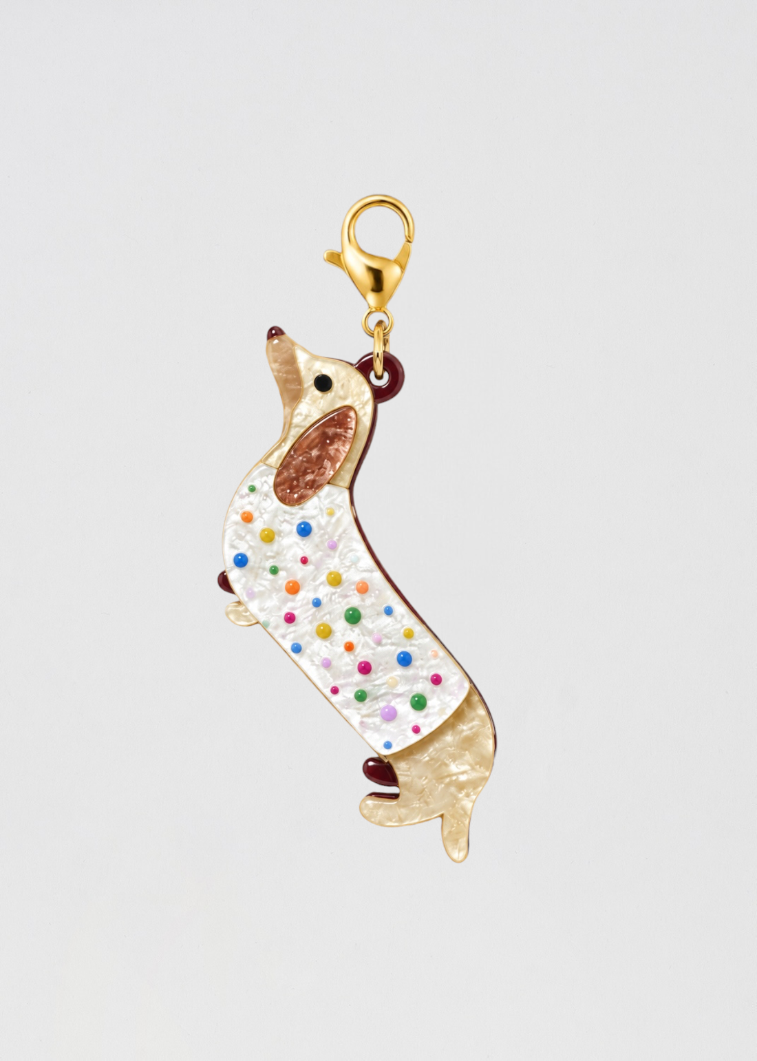 Charm Perrito Amante Del Color