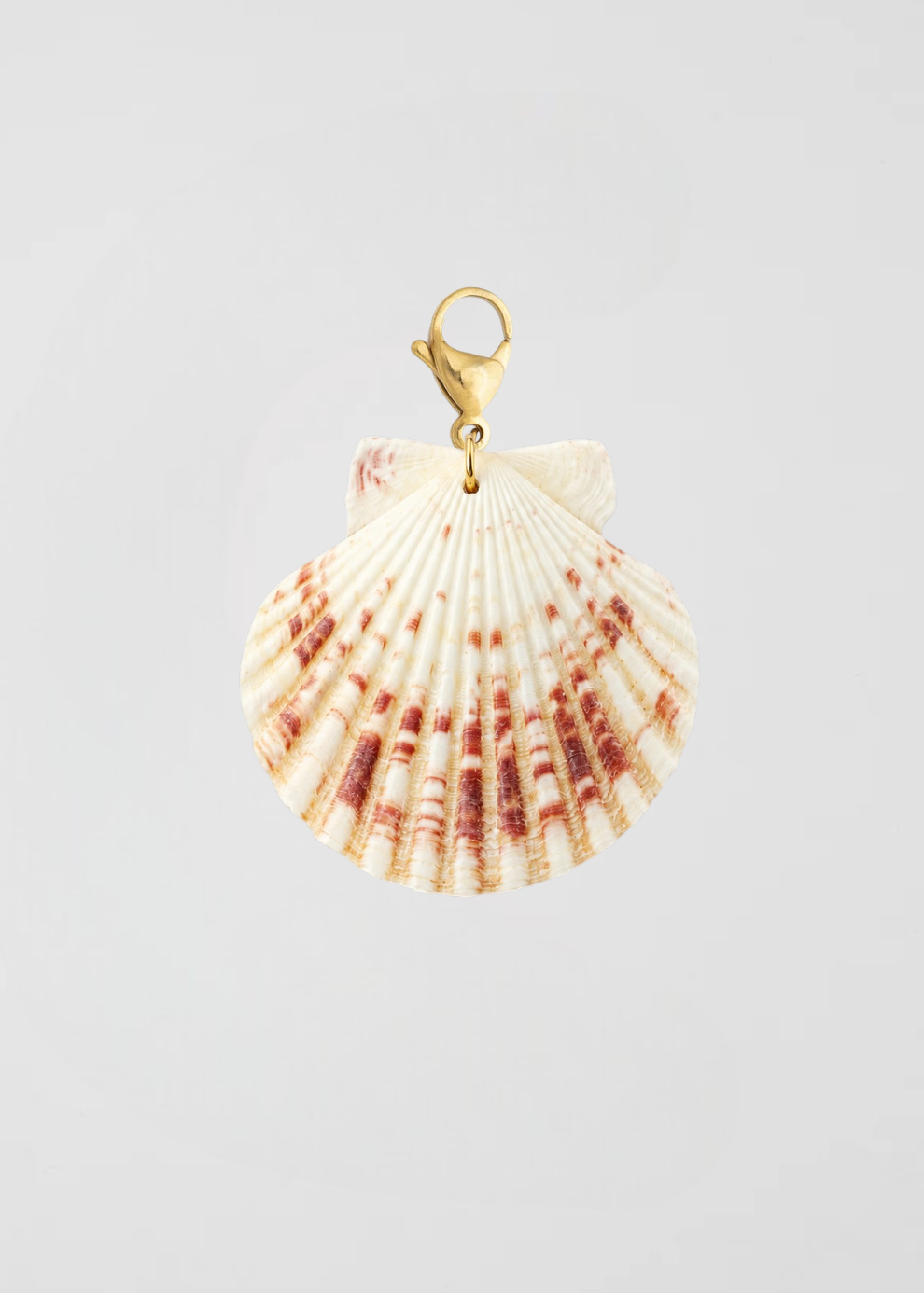 Charm Concha Blanca De Ibiza
