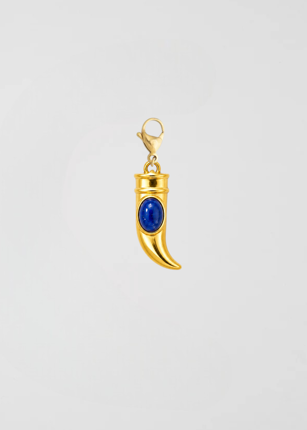 Charm Cuerno De La Suerte