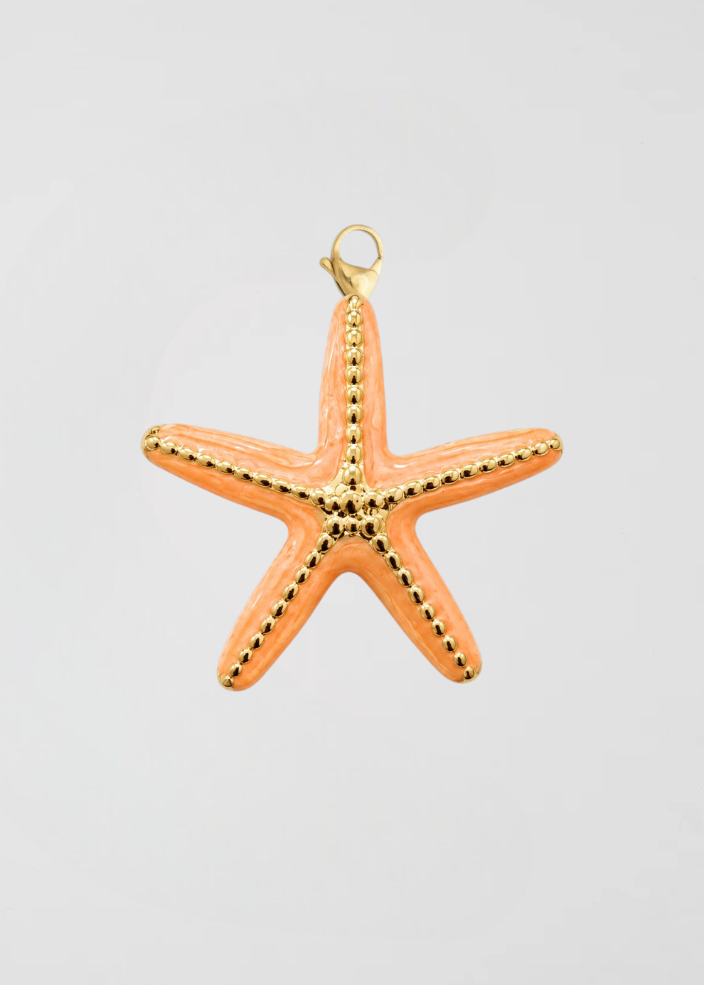Char Estrella De Mar Salmón