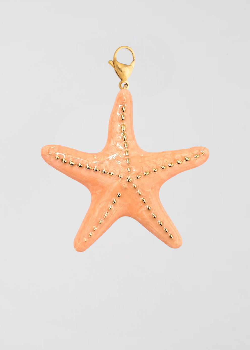 Charm Estrella De Mar Salmón