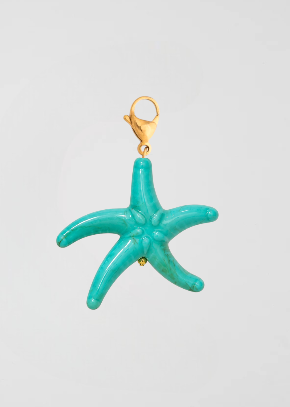 Estrella De Mar Especial En Turquesa