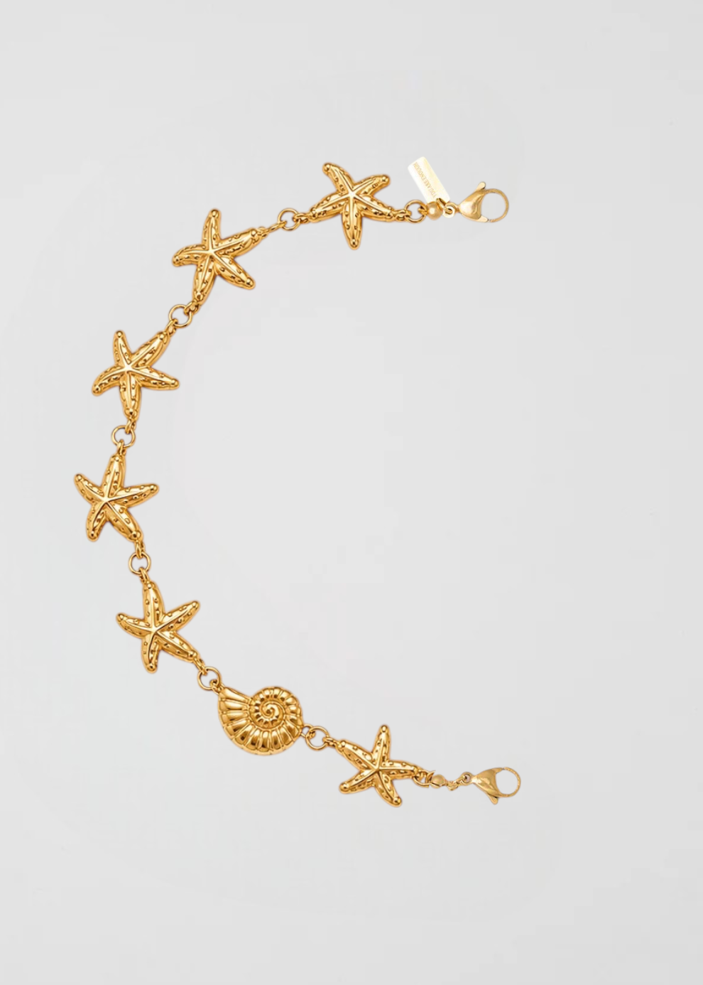 Mitad Cadena Dorada El Arrecife Con Sus Estrellas De Mar Y Caracolas
