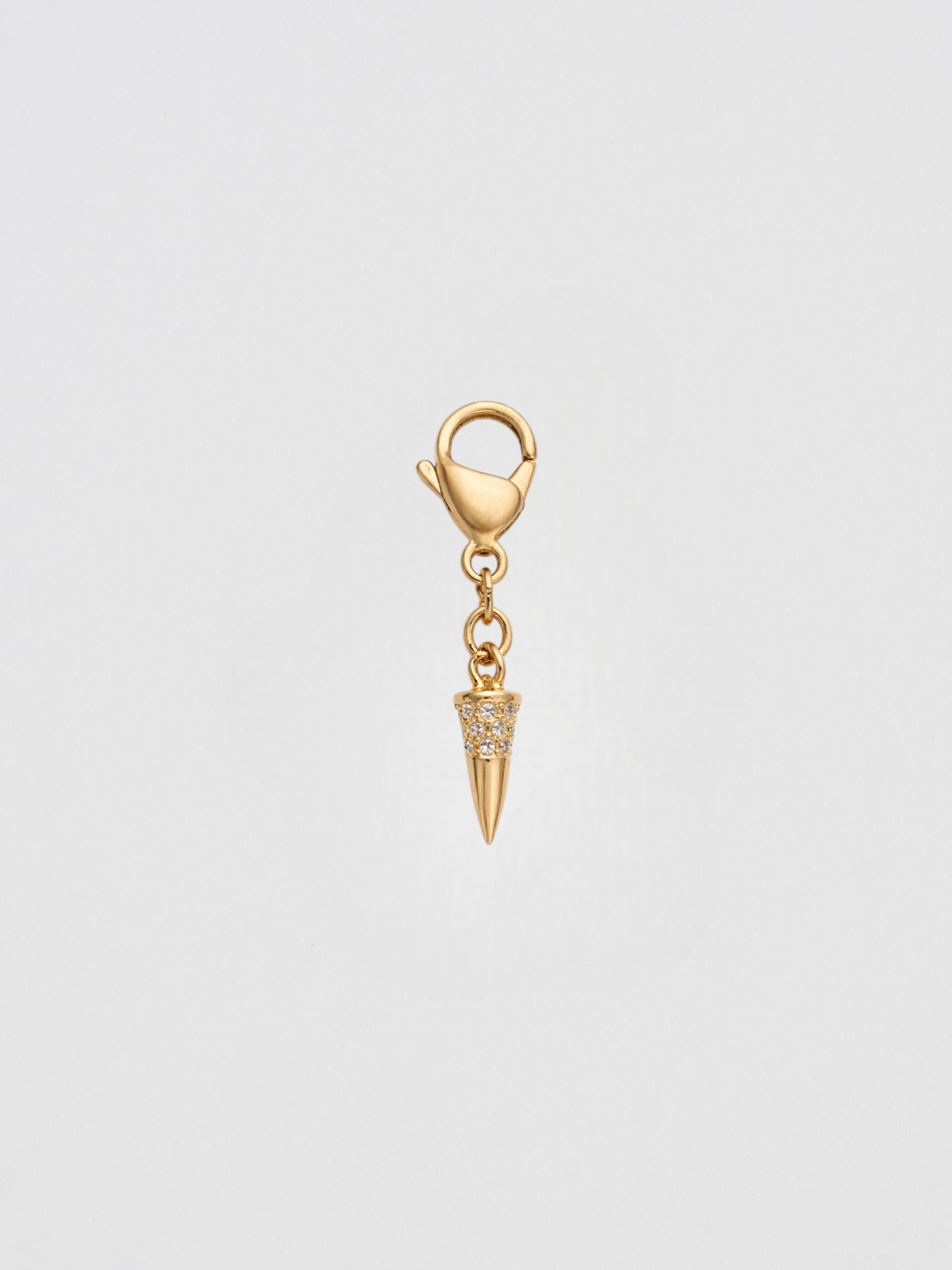 Charm Pequeño Spike _ Edición limitada