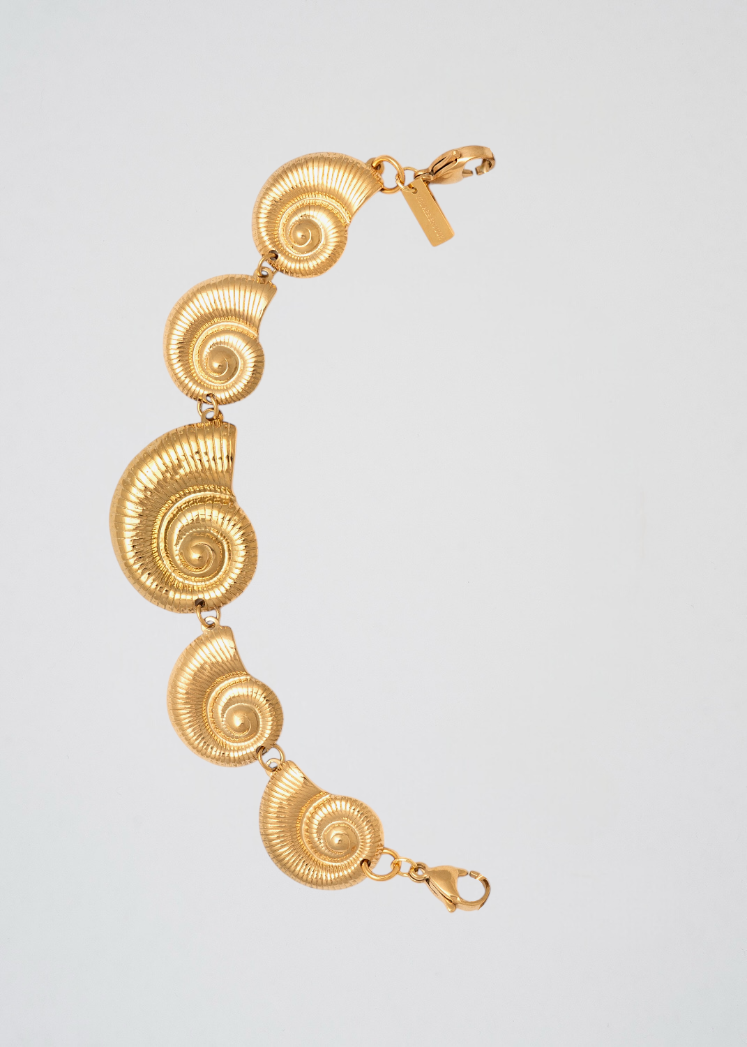 Half Golden Shell Chain