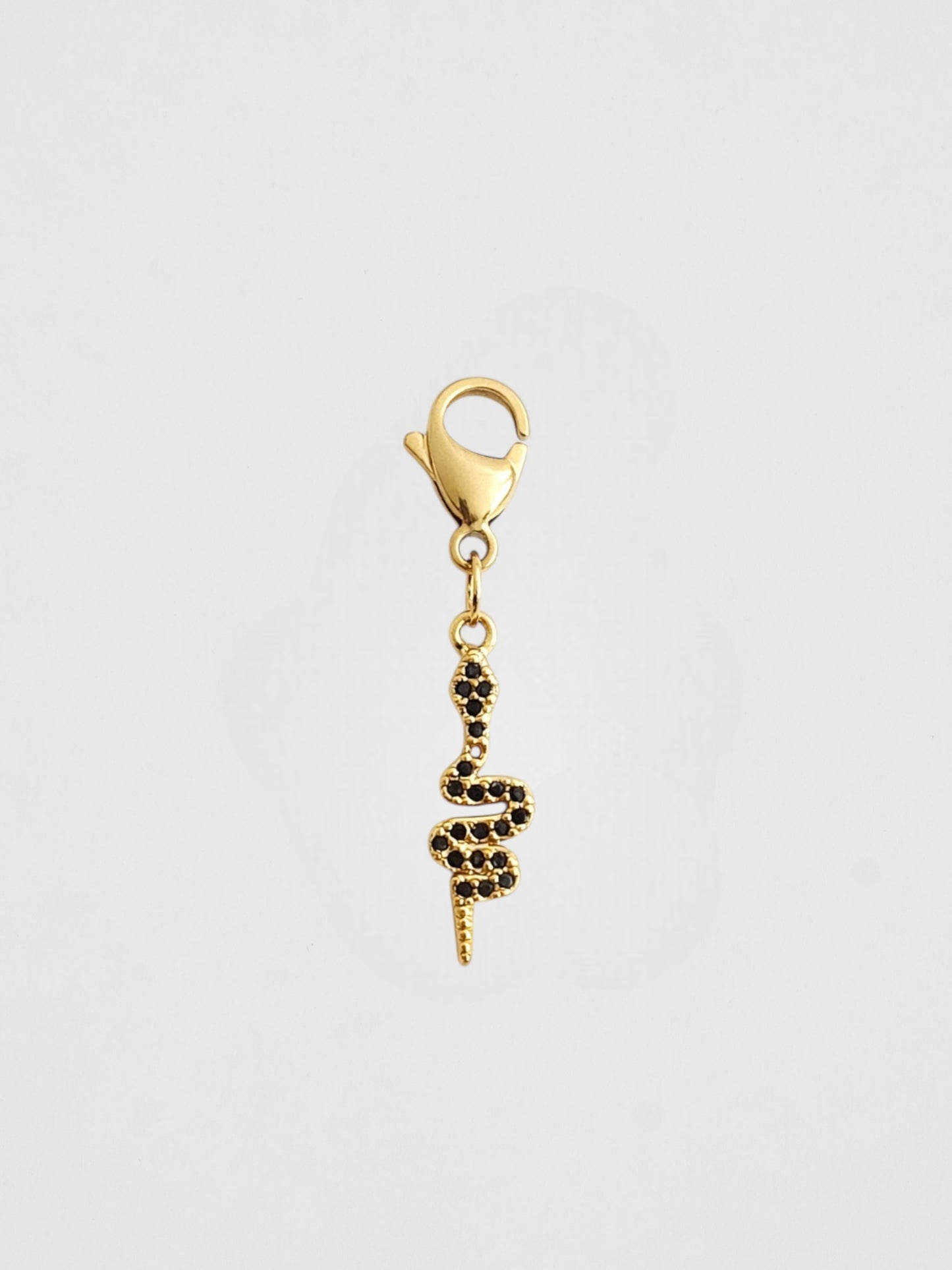 Charm Pequeño Serpiente Del Cambio _ Edición limitada