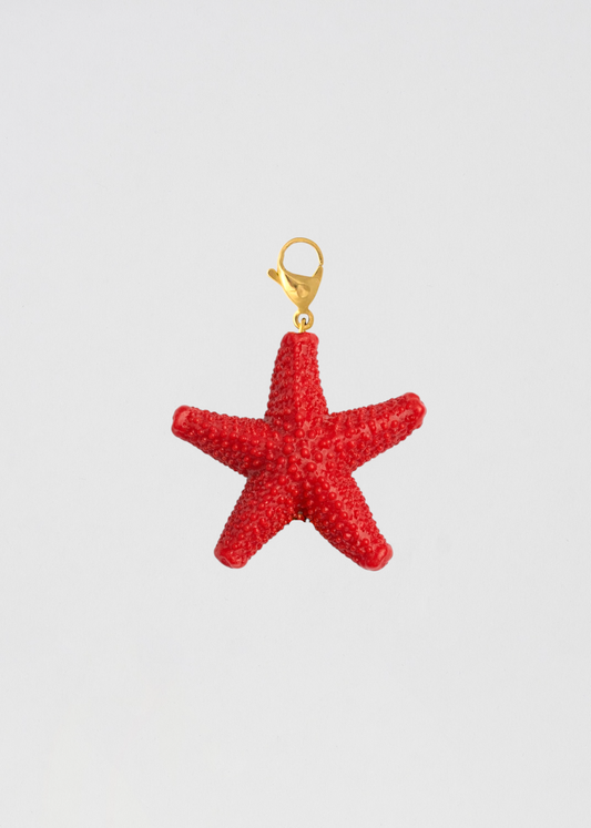 Charm Estrella De Mar Coral Pequeña