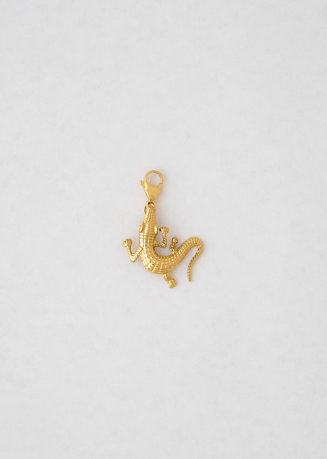 Charm Cocodrilo El Más Original