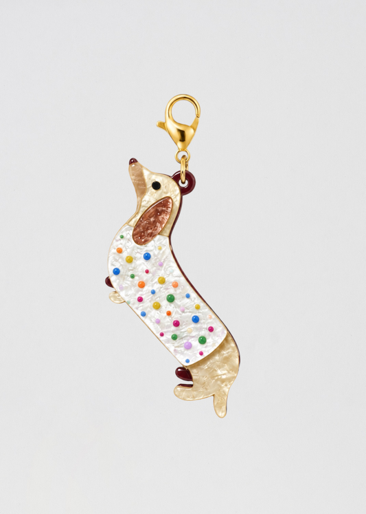 Charm Perrito Amante Del Color