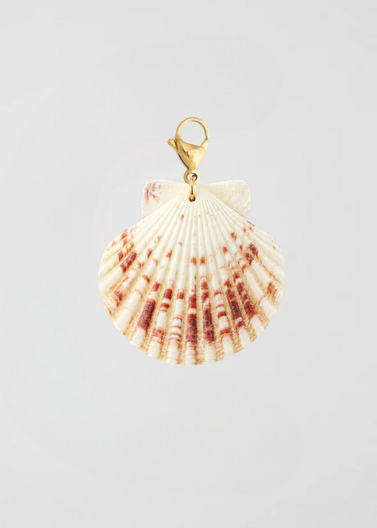 Charm Concha Blanca De Ibiza