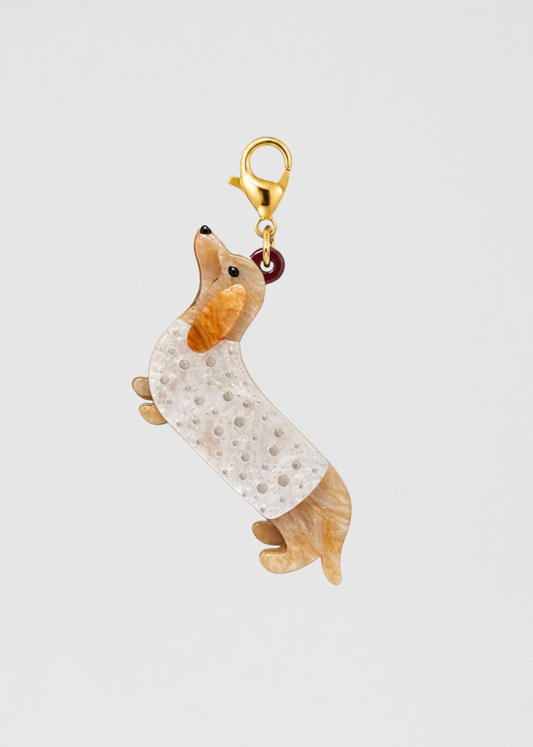 Charm Perrito