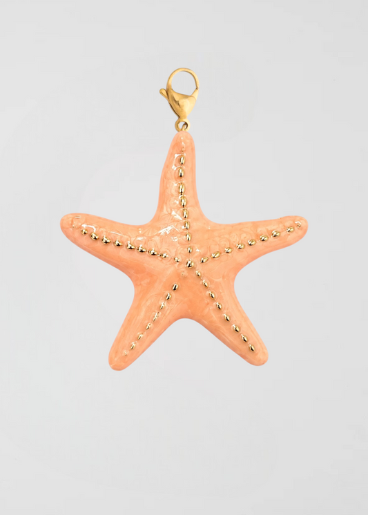 Charm Estrella De Mar Salmón