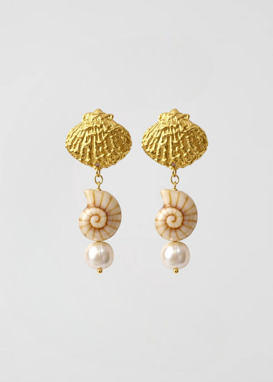 Pendientes Concha De Conil
