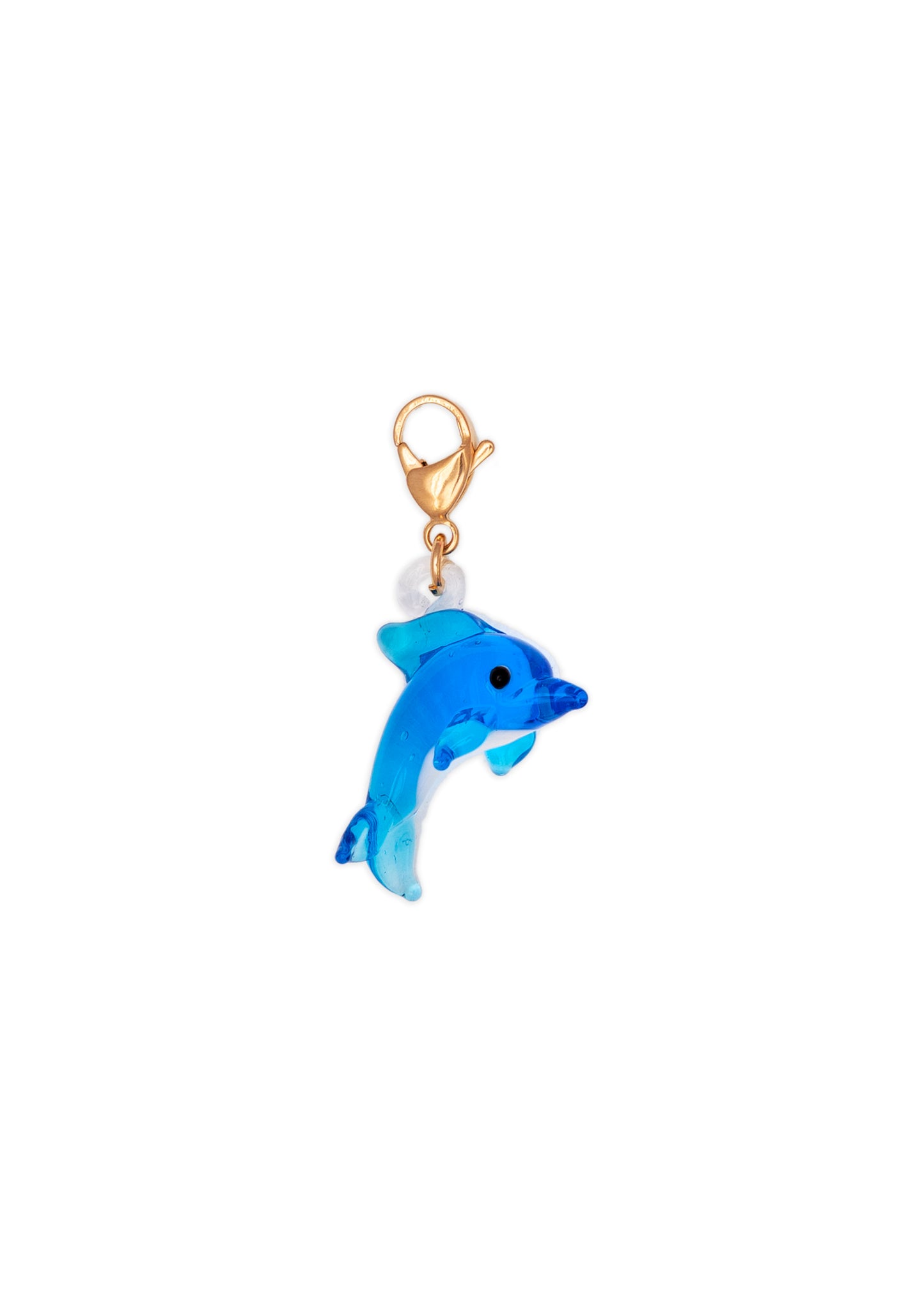 Dolphin En Otra Vida Fui Charm