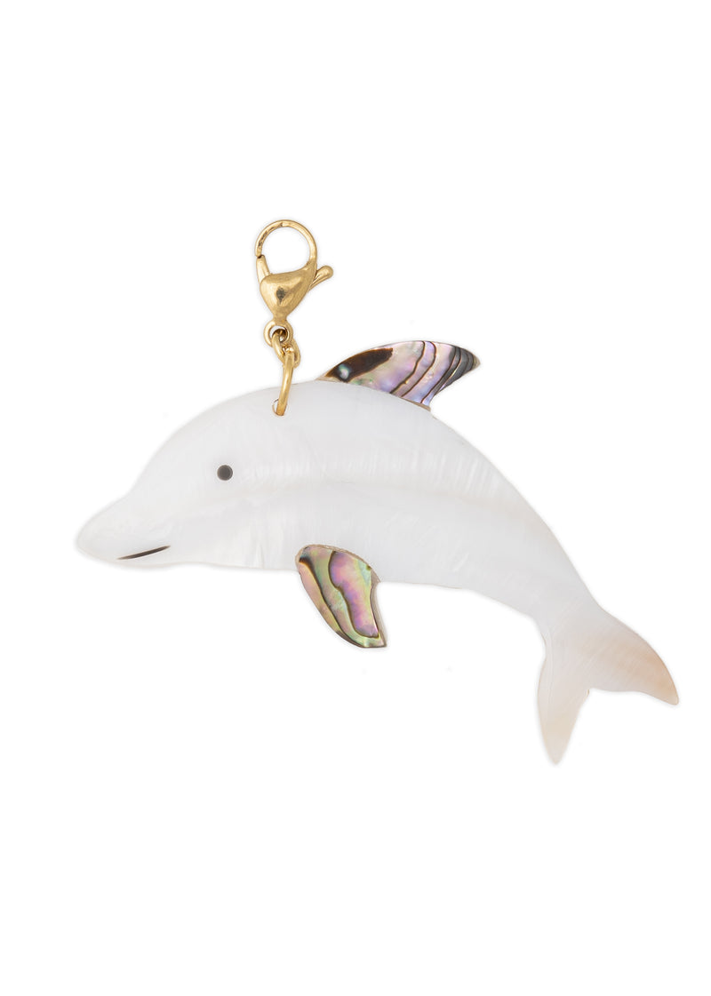 Charm Dolphin Take Me To The Ocean